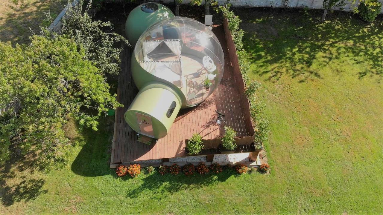 Remanso De Trasfontao Casa Das Arbores & Bubble Silleda Exterior foto